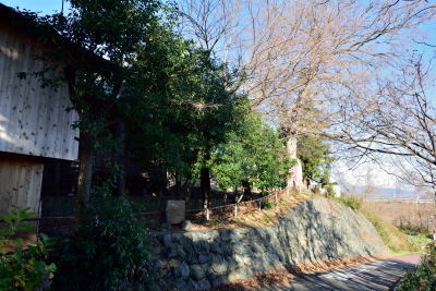 一本木稲荷神社　総社町桜が丘_002.jpg