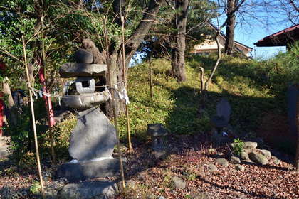 諏訪神社富士見町時沢２６３８_005.jpg